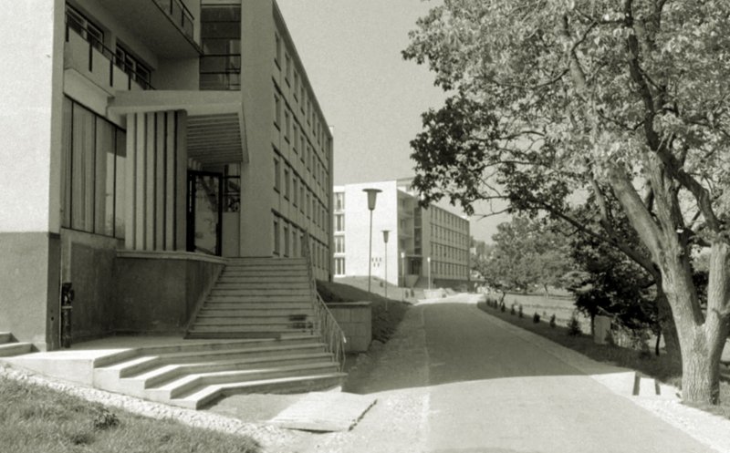 Căminele din Hasdeu, anii '60