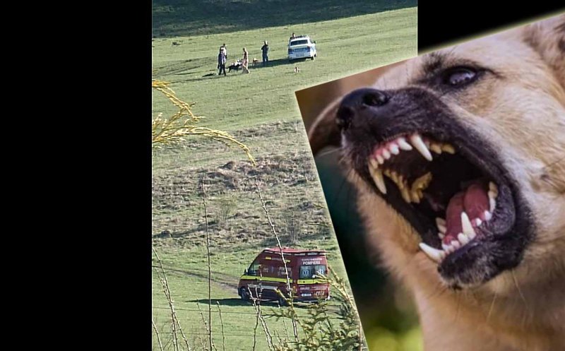 Ce spune poliţia despre cazul femeii atacate în Floreşti de 3 câini / Ce spun oamenii: "Aceeaşi problemă de 5 ani! Un cioban face legea în Floreşti???"