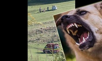 Ce spune poliţia despre cazul femeii atacate în Floreşti de 3 câini / Ce spun oamenii: "Aceeaşi problemă de 5 ani! Un cioban face legea în Floreşti???"