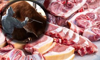 Pericol de răspândire a febrei aftoase la bovine, porcine, ovine și caprine / România a activat mecanismele de urgență 
