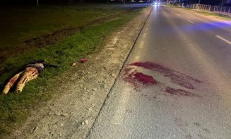 Farsă macabră pe DN24: Şoferii au sunat la 112, crezând pe marginea drumului zace o persoană accidentată mortal