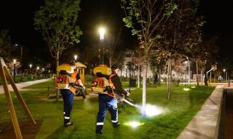 S-a dat startul la dezinsecţie în Cluj-Napoca. Căpuşele şi ţânţarii, în cap de listă