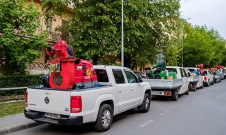S-a dat startul la dezinsecţie în Cluj-Napoca. Căpuşele şi ţânţarii, în cap de listă