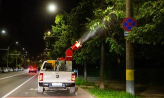 S-a dat startul la dezinsecţie în Cluj-Napoca. Căpuşele şi ţânţarii, în cap de listă