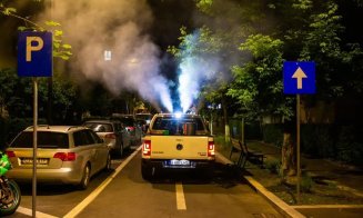 S-a dat startul la dezinsecţie în Cluj-Napoca. Căpuşele şi ţânţarii, în cap de listă