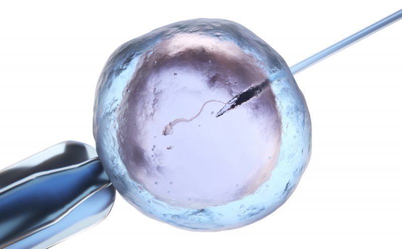 Câți bani primesc cuplurile și femeile singure care vor să facă un copil prin fertilizare in vitro. Voucherele sunt limitate