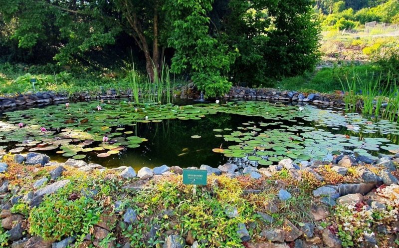 Grădina Agro-Botanică USAMV Cluj, un colț de natură în inima orașului