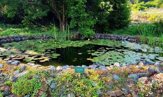 Grădina Agro-Botanică USAMV Cluj, un colț de natură în inima orașului