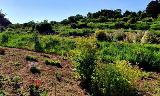 Grădina Agro-Botanică USAMV Cluj, un colț de natură în inima orașului