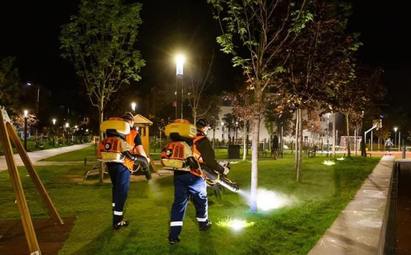 La Cluj, continuă campaniile de dezinsecție. Viceprimarul Dan Tarcea: „Soluția folosită nu este dăunătoare pentru animalele de companie și păsări”