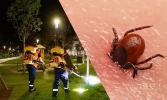 E plin de căpușe în parcurile din Cluj / Dezinsecția ar trebui adaptată la populaţia mare de insecte, cred clujenii
