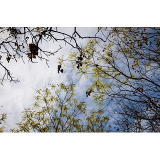 Minivacanță de 1 Mai cu temperaturi ca de iarnă? Vezi prognoza meteorologilor