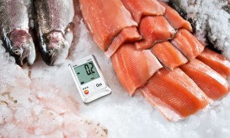 Siguranța alimentară în HoReCa: prevenția, cheia succesului sustenabil