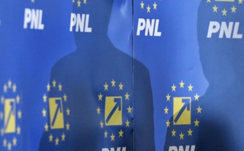 PNL a votat susţinerea lui Nicuşor Dan în turul doi al alegerilor prezidenţiale