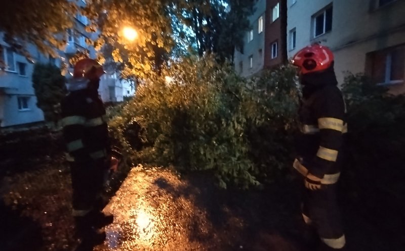 Stâlpi de curent căzuţi, arbori pe carosabil, apartamente şi subsoluri inundate în Cluj după ruperea de nori