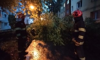 Stâlpi de curent căzuţi, arbori pe carosabil, apartamente şi subsoluri inundate în Cluj după ruperea de nori