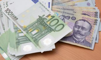 EURO ar putea ajunge la 6 lei. Cine are de suferit