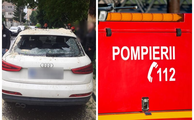 Cluj: Un arbore a căzut peste două mașini parcate. Au intervenit pompierii
