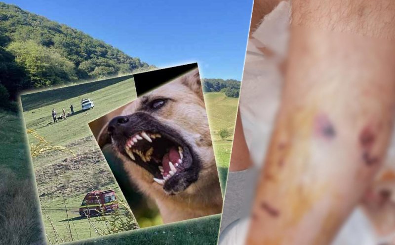 Floreştenii, despre atacurile dulăilor agresivi de pe Cetăţii: "Parcă văd că proprietarul nu va păți nimic..." / "Dacă era o mamă cu un copilaş, nu făcea față..."