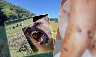 Floreştenii, despre atacurile dulăilor agresivi de pe Cetăţii: "Parcă văd că proprietarul nu va păți nimic..." / "Dacă era o mamă cu un copilaş, nu făcea față..."