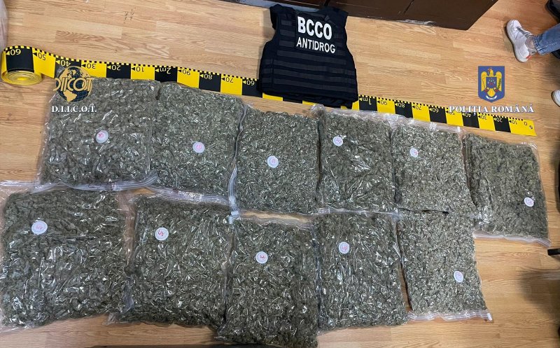 Traficant de droguri reținut în Cluj-Napoca după ce a ridicat peste 11 kg de canabis de la curier