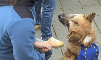 Mii de clujeni la Marșul pentru Europa
