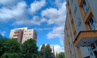 Grădina urbană cu răsaduri din... balconul de la etajul 8. Ce spune cuplul de pensionari din Mănăştur despre pasiunea lor