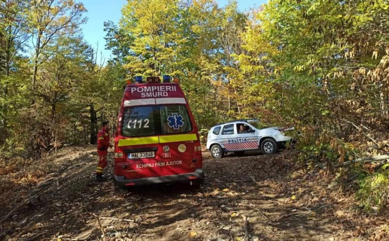 Tragedie cumplită într-o pădure din Cluj: Un bărbat a fost lovit mortal de un buștean