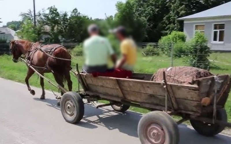 Doi bărbați din Cluj au parcurs aproape 200 km cu căruța pentru a fura...biciclete