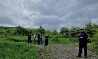 Primarul Floreștiului a lămurit incidentele cu câinii agresivi: „Noi nu putem intra pe proprietăți private să ridicăm animalul cuiva”