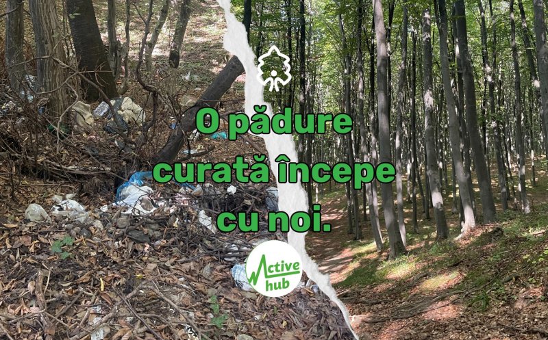 „Zilele Pădurii Făget” – O invitație la redescoperire și protecție a naturii!