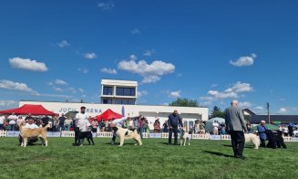 Concurs de frumusețe și expoziție de câini Napoca Dog Show, la Jucu