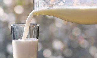 Nou studiu privind consumul de lactate. Ce arată 25 de ani de cercetări