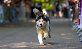 Clujul a sărbătorit mișcarea: Sports Festival 2025 s-a încheiat cu o explozie de energie