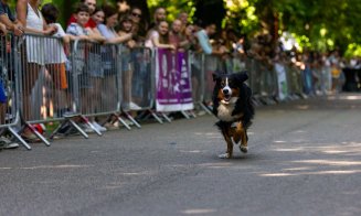 Clujul a sărbătorit mișcarea: Sports Festival 2025 s-a încheiat cu o explozie de energie
