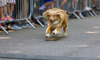 Clujul a sărbătorit mișcarea: Sports Festival 2025 s-a încheiat cu o explozie de energie