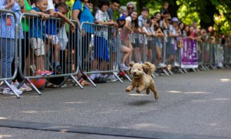 Clujul a sărbătorit mișcarea: Sports Festival 2025 s-a încheiat cu o explozie de energie