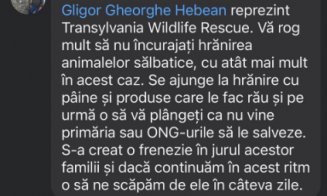 Răspunsul viceprimarului la propunerea de a fi instalate panouri de avertizare cu privire la faptul că lebedele pot fi ucise dacă sunt hrănite cu pâin