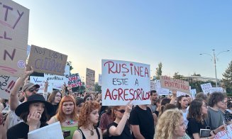 26 de femei UCISE în România de la începutul anului. Ultima cu toporul, penultima cu pistolul. Ambele erau însărcinate