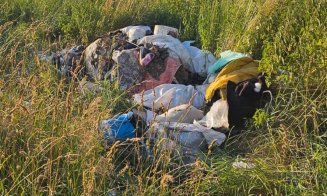 Ură pe natură: Gunoaie de mari dimensiuni aruncate aproape de malul Someşului, în Floreşti / "Se tot înmulțesc..."