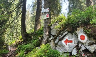 S-a redeschis traseul turistic „Circuitul Someșului Cald”, grav afectat de o furtună. ATENȚIE, e DIFICIL!