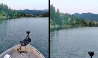 Moș Martin, frate cu David Popovici :) Un urs a traversat lacul Colibița înot, mai ceva ca un olimpic