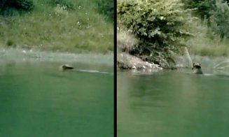 Moș Martin, frate cu David Popovici :) A traversat lacul înot, mai ceva ca un olimpic