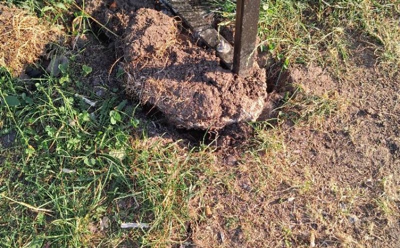 Pe ce au pus ochii hoţii din Mănăştur? Nu le-a ţinut figura... De data asta