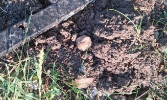 Pe ce au pus ochii hoţii din Mănăştur. Nu le-a ţinut figura... De data asta
