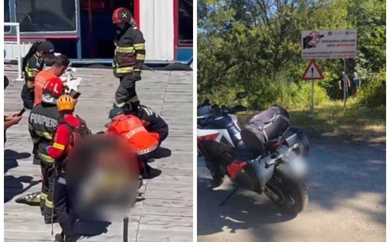 Detalii șocante: Cine este motociclistul ucis de un urs pe Transfăgărășan. Animalul a fost împușcat