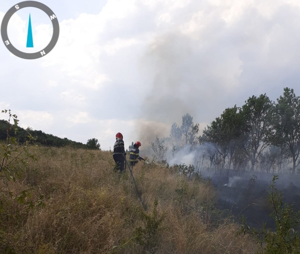 Incendiu puternic de vegetație în județul Cluj: hectare întregi mistuite de flăcări