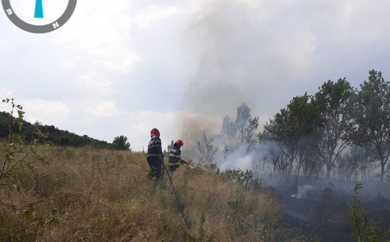 Incendiu puternic de vegetație în județul Cluj: hectare întregi mistuite de flăcări