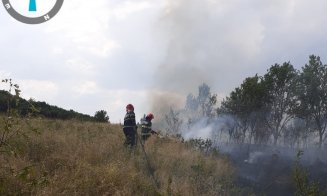 Incendiu puternic de vegetație în județul Cluj: hectare întregi mistuite de flăcări