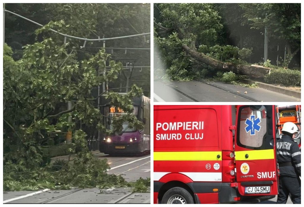 Furtuna de luni seară a făcut ravagii în Cluj: copac căzut pe linia de tramvai și acoperiș smuls de vânt